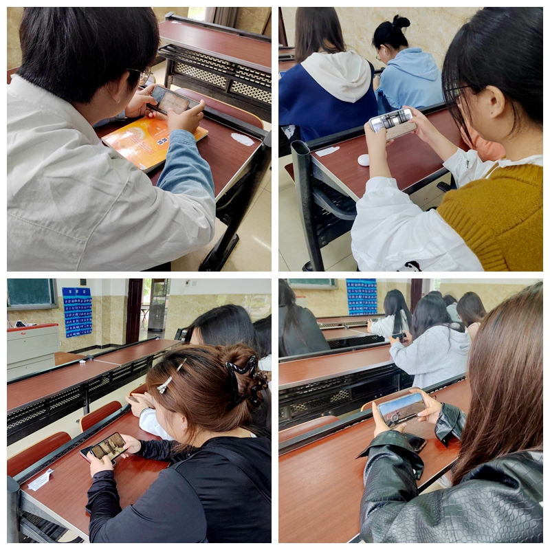 cccc_副本.jpg cccc_副本.jpg